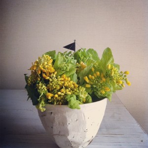 asacafe2013-03-31 asacafe2013-03-31