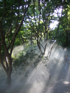 at242008-11-04