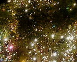 atmy2005-11-27 atmy2005-11-27