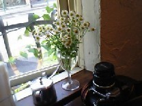 azamiko2007-06-09 azamiko2007-06-09