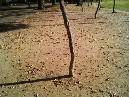 azamiko2008-11-24 azamiko2008-11-24