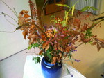bakenshikabuya2007-11-10 bakenshikabuya2007-11-10