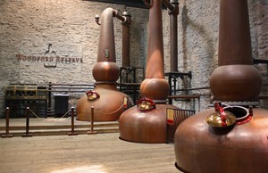 barvirgo2013-06-28 barvirgo2013-06-28