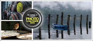 barvirgo2013-11-12 barvirgo2013-11-12