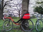 bikeerx2007-03-31