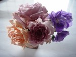 薔薇＆デルフィニウム