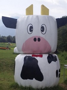 野辺山高原のもーさん