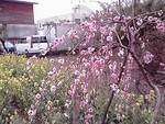 暇忙しい4月 暇忙しい4月