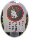 犬の糞 犬の糞