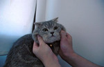 claw2006-06-28