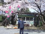 朝のおつとめ 朝のおつとめ