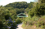 cogitoergosum2004-06-20