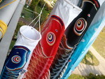 corobutika2011-04-29
