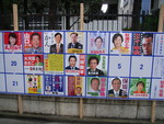 東京選挙区