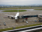 全日空機於富山空港之圖 全日空機於富山空港之圖
