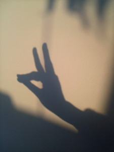 darienonikki2008-02-19