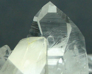 doublet2005-07-20 doublet2005-07-20