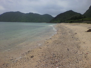 doublet2010-05-10 doublet2010-05-10