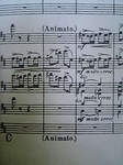 はいはいアニマートAnimato はいはいアニマートAnimato