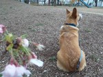 dubrock2011-04-10
