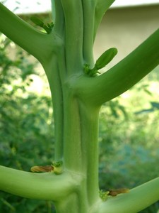 fujitam32010-08-28 fujitam32010-08-28