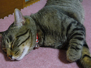 funfun2006-07-05 funfun2006-07-05