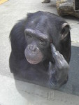genjo2012-11-04