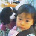 gohandaisuki2005-12-05 gohandaisuki2005-12-05