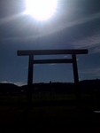 鳥居と太陽