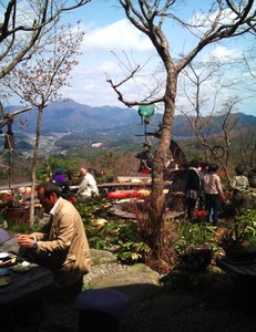 hakthakt2011-04-20