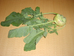 henri772005-02-01