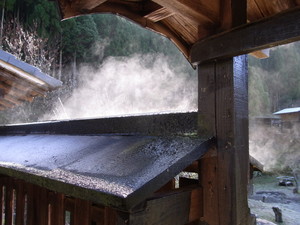 hirahira01152012-12-03
