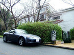 hisadoi2007-03-10 hisadoi2007-03-10