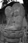 hogodou2009-02-09