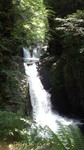 honest152013-08-15