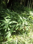 hrppt3662011-09-13