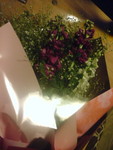 huty2008-02-14