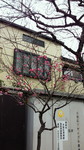 i-yuki2012-02-16 i-yuki2012-02-16