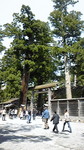 i092kiko2010-04-18 i092kiko2010-04-18