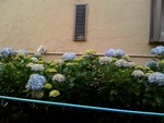 i16i162011-06-10
