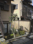 ikasamaya2006-01-25