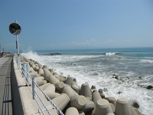 2010年・淡路島 2010年・淡路島
