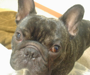 jaja512007-01-31 jaja512007-01-31