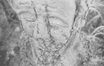kaelshojo2007-03-09