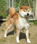 kaihuuinternet2008-03-27 kaihuuinternet2008-03-27