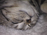 katsu7032006-05-20 katsu7032006-05-20