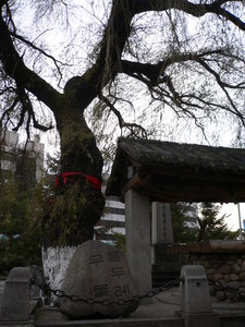 龍井