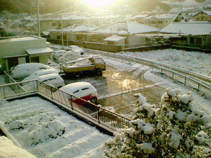kikimimi202005-12-22
