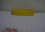 LiveSTORNG LiveSTORNG