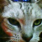 kokada_jnet2004-10-29